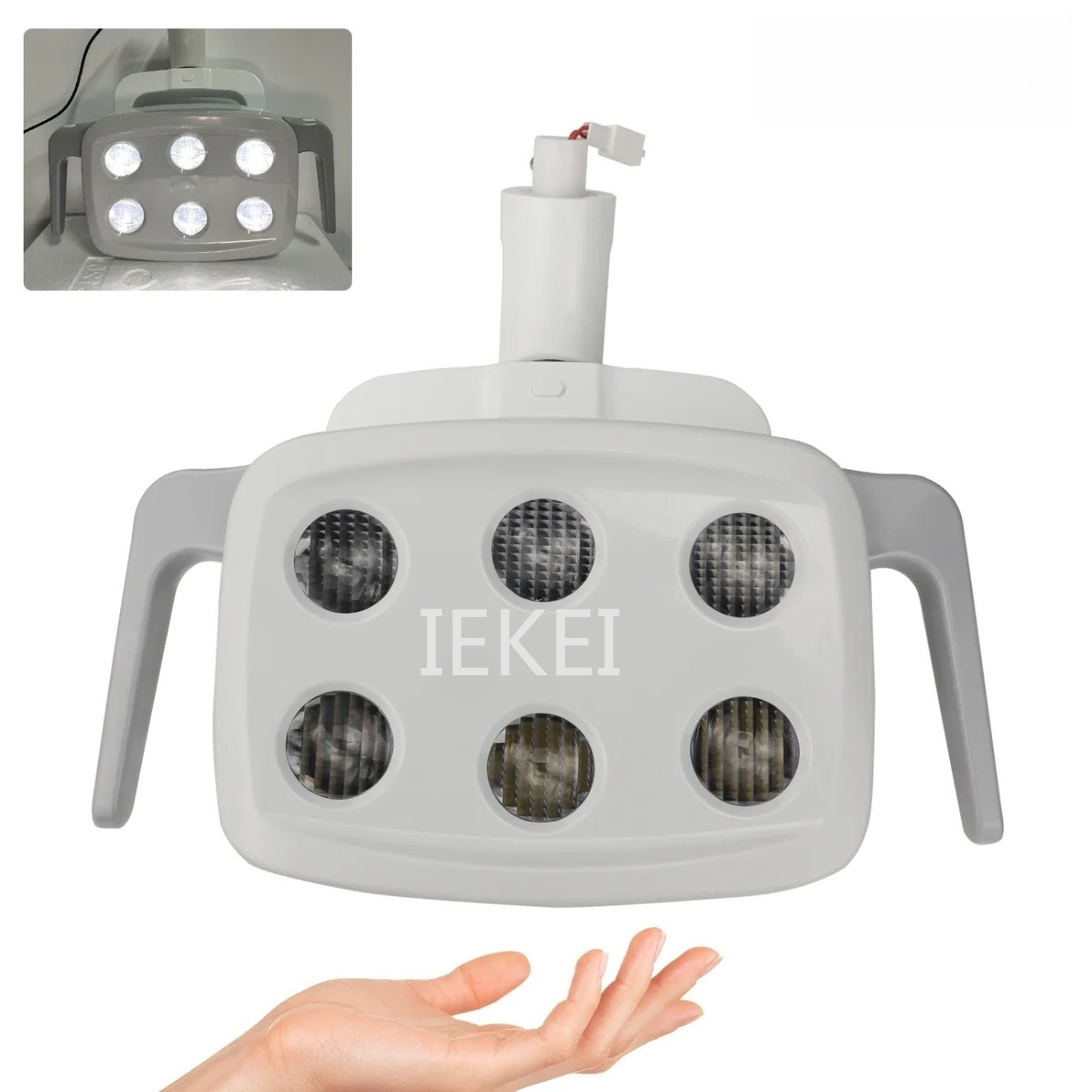 6LED Dental Oral Light Suitabl - Teeth Whitening Dental 리뷰 및 가격