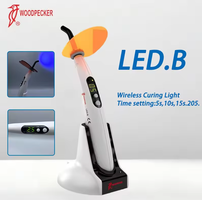 Dental Curing Light Woodpecker - Teeth Whitening Dental 리뷰 및 가격