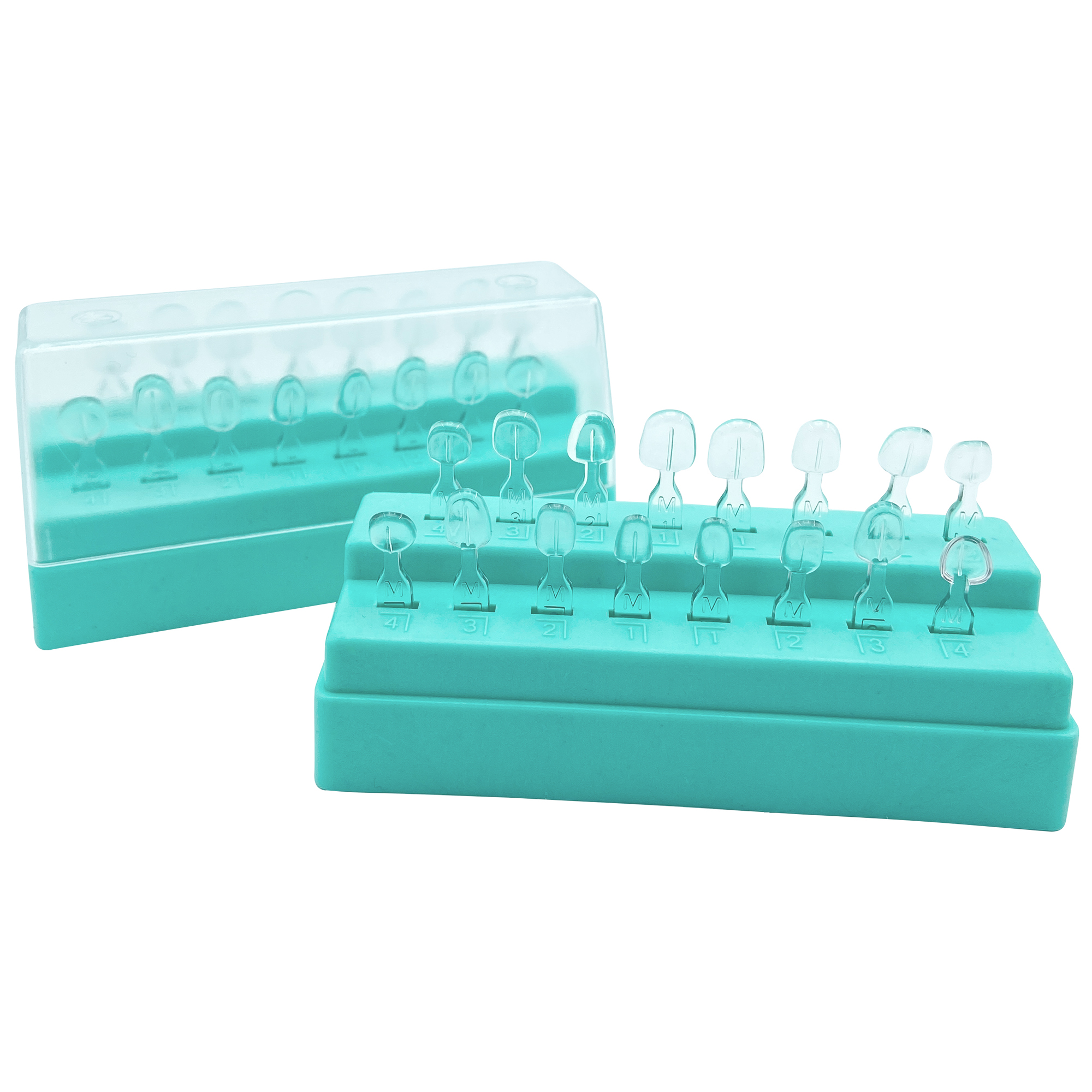 32Pcs New Dental Veneer Mould  - Teeth Whitening Moulds 리뷰 및 가격