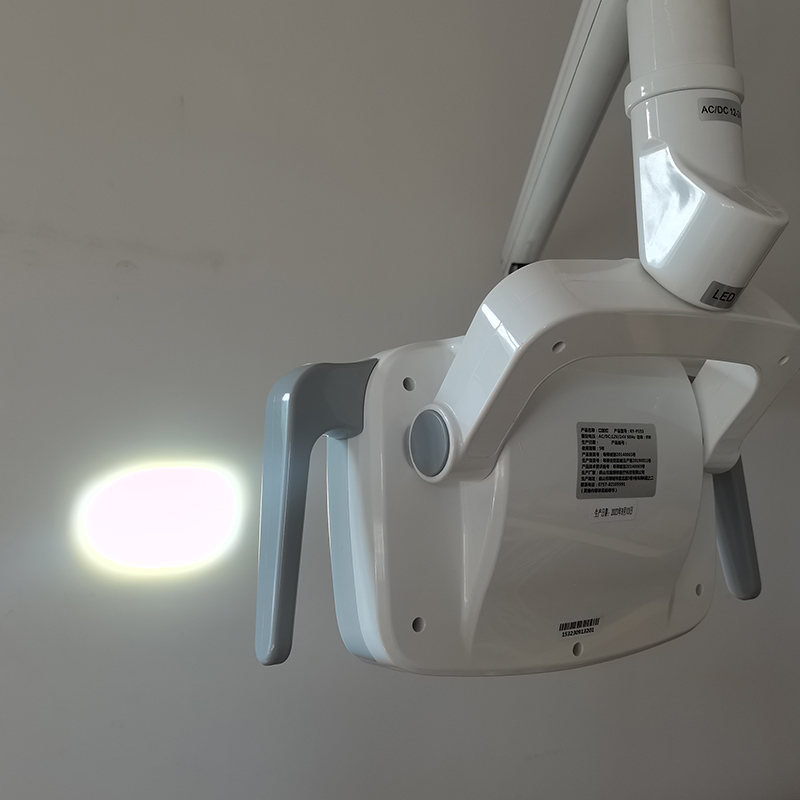 6LED Dental LED Lamp Oral Ligh - Teeth Whitening Dental 리뷰 및 가격