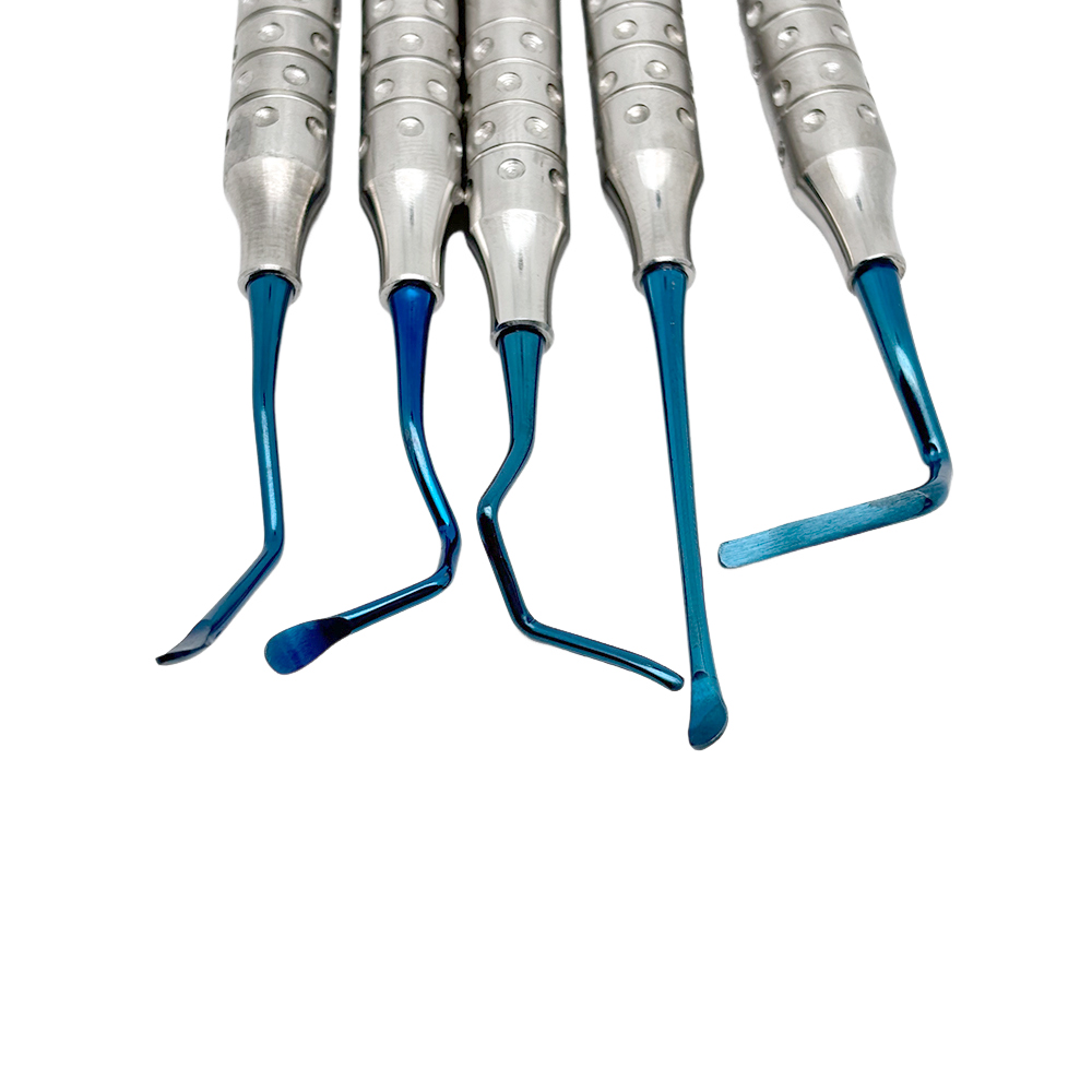 5Pcs/box Dentist Vista Tunneli - Teeth Whitening Procedure 리뷰 및 가격