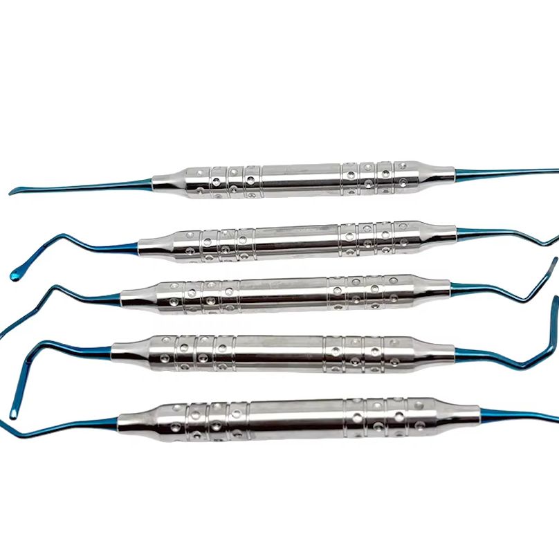 5Pcs/box Dentist Vista Tunneli - Teeth Whitening Procedure 리뷰 및 가격