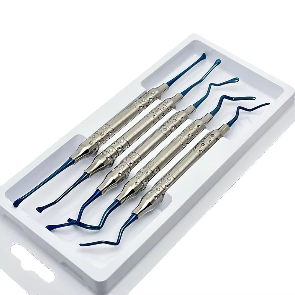 5Pcs/box Dentist Vista Tunneli - Teeth Whitening Procedure 리뷰 및 가격